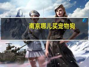 南京哪儿买宠物狗