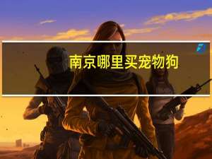 南京哪里买宠物狗