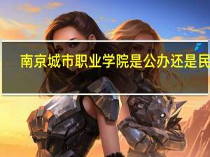 南京城市职业学院是公办还是民办