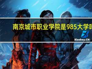 南京城市职业学院是985大学吗