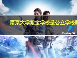 南京大学紫金学校是公立学校吗