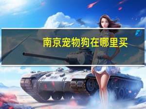 南京宠物狗在哪里买