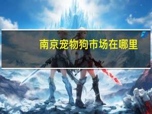 南京宠物狗市场在哪里
