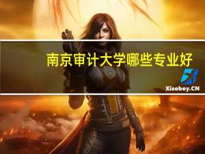 南京审计大学哪些专业好