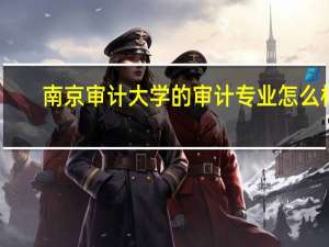 南京审计大学的审计专业怎么样