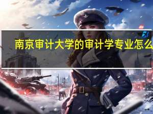 南京审计大学的审计学专业怎么样
