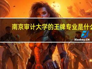 南京审计大学的王牌专业是什么
