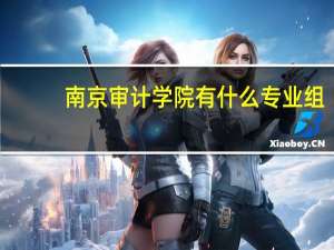 南京审计学院有什么专业组