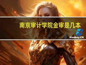 南京审计学院金审是几本