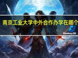 南京工业大学中外合作办学在哪个校区