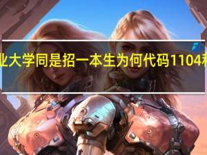 南京工业大学同是招一本生为何代码1104和1604不一样