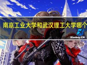 南京工业大学和武汉理工大学哪个好点
