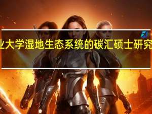 南京工业大学湿地生态系统的碳汇硕士研究方向好就业吗