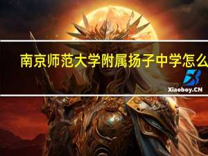 南京师范大学附属扬子中学怎么样