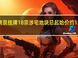 南京挂牌18宗涉宅地块 总起始价约135亿元