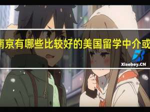 南京有哪些比较好的美国留学中介或者机构