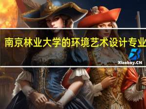 南京林业大学的环境艺术设计专业如何