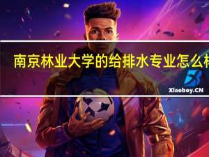 南京林业大学的给排水专业怎么样啊