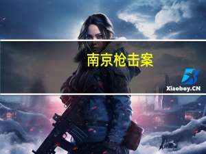 南京枪击案（关于南京枪击案的介绍）