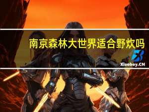 南京森林大世界适合野炊吗