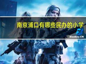 南京浦口有哪些民办的小学