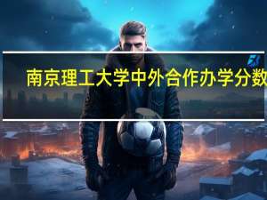 南京理工大学中外合作办学分数线