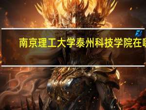 南京理工大学泰州科技学院在哪