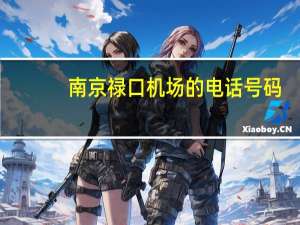 南京禄口机场的电话号码（南京禄口机场电话）