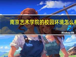 南京艺术学院的校园环境怎么样