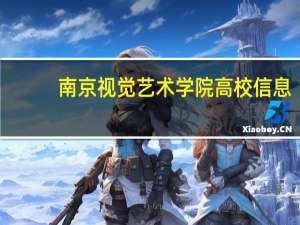 南京视觉艺术学院高校信息