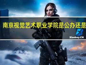 南京视觉艺术职业学院是公办还是民办