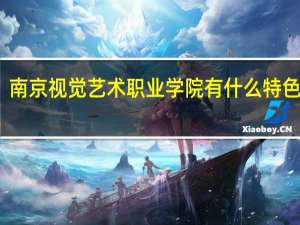 南京视觉艺术职业学院有什么特色专业，专业排名如何