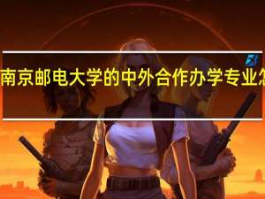 南京邮电大学的中外合作办学专业怎么样