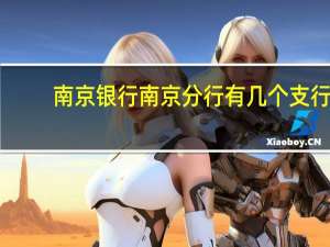 南京银行南京分行有几个支行