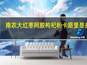 南农大 红枣阿胶枸杞粉卡路里是多少