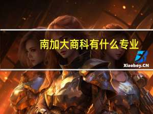 南加大商科有什么专业
