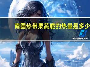 南国热带果蔬脆的热量是多少