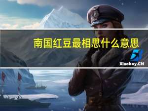 南国红豆最相思什么意思