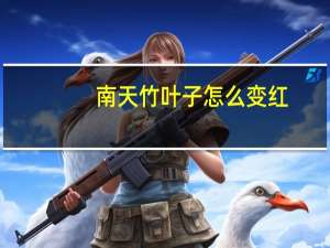 南天竹叶子怎么变红