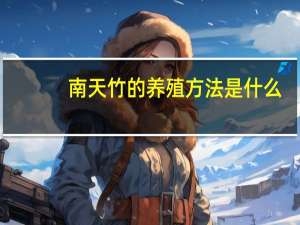 南天竹的养殖方法是什么