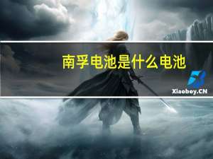 南孚电池是什么电池