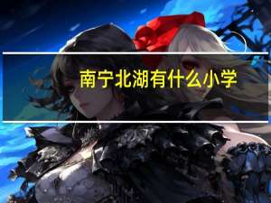 南宁北湖有什么小学