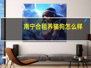 南宁合租养猫狗怎么样
