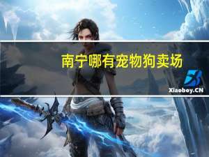 南宁哪有宠物狗卖场