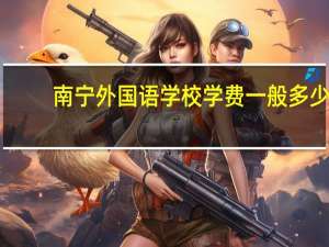 南宁外国语学校学费一般多少（南宁外国语学校）