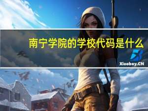 南宁学院的学校代码是什么