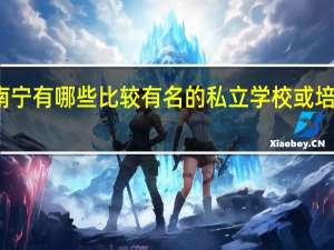 南宁有哪些比较有名的私立学校或培训机构