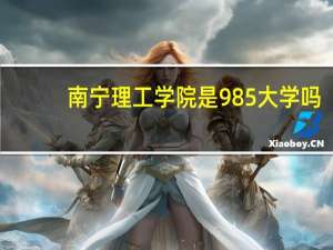 南宁理工学院是985大学吗
