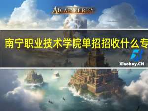 南宁职业技术学院单招招收什么专业的