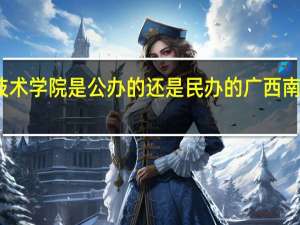 南宁职业技术学院是公办的还是民办的 广西南宁职业技术学院